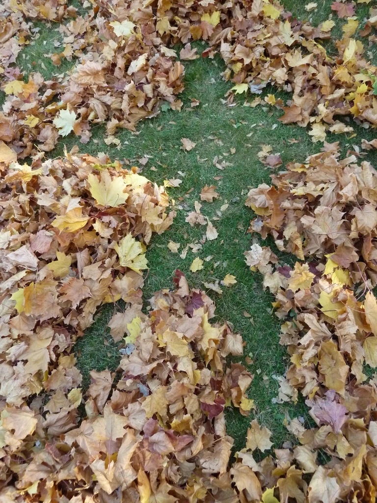 Podzim