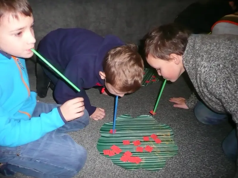 Na chvíli motýlem 4.tř