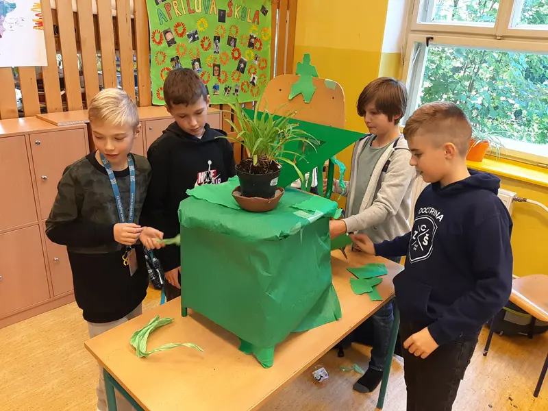 6.tř. Vv Zdobení objektů