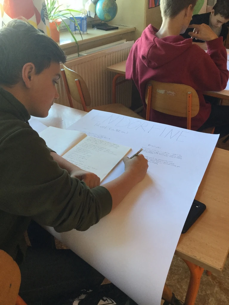 Průběh práce na projektových dnech